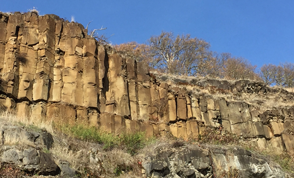 Basalt Columns in the Columbia Gorge